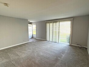931 Shattuck Ln in Schaumburg, IL - Building Photo - Building Photo