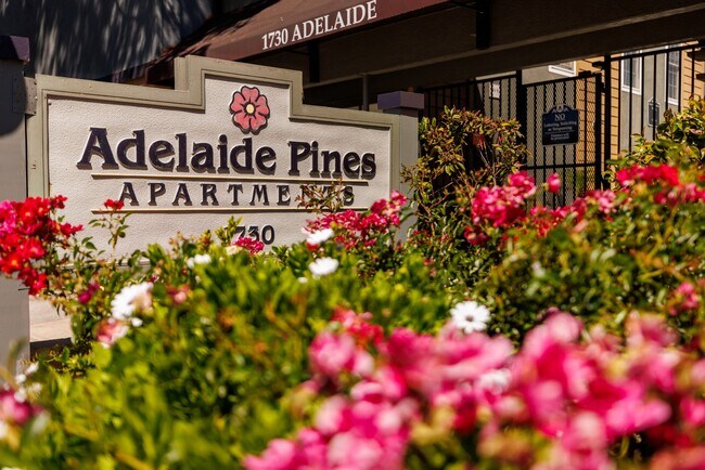 Adelaide Pines in Concord, CA - Building Photo - Building Photo