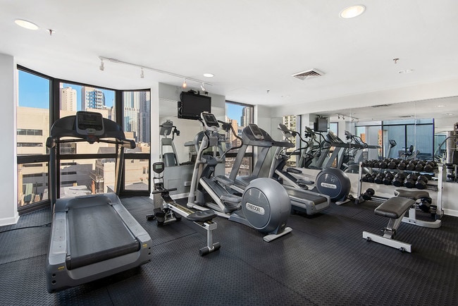 1000 N. LaSalle in Chicago, IL - Foto de edificio - Building Photo