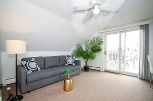 243 Princeton St in Boston, MA - Building Photo