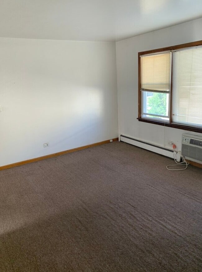 1200 Whispering Hills Ct in Naperville, IL - Building Photo - Building Photo