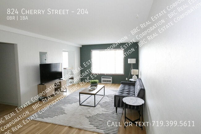 824 Cherry St in Denver, CO - Building Photo - Building Photo