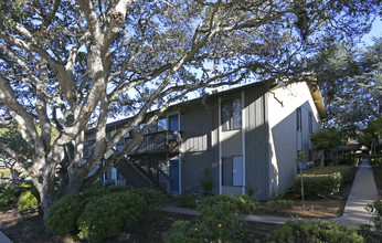 Villa Ramona in Monterey, CA - Foto de edificio - Building Photo