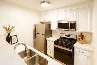 4248 Whitsett Ave in Studio City, CA - Building Photo - Building Photo