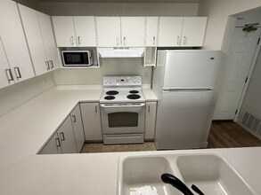 535 Pierce St in Albany, CA - Building Photo - Building Photo