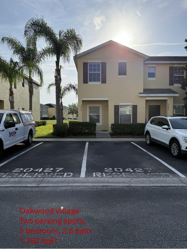 20427 Needletree Dr in Tampa, FL - Foto de edificio - Building Photo