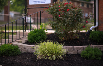 Lynn Town Townhomes in St. Louis, MO - Building Photo - Building Photo