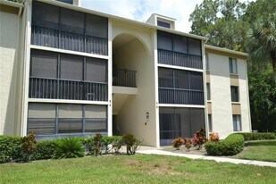3232 Lake Pine Way E in Tarpon Springs, FL - Building Photo