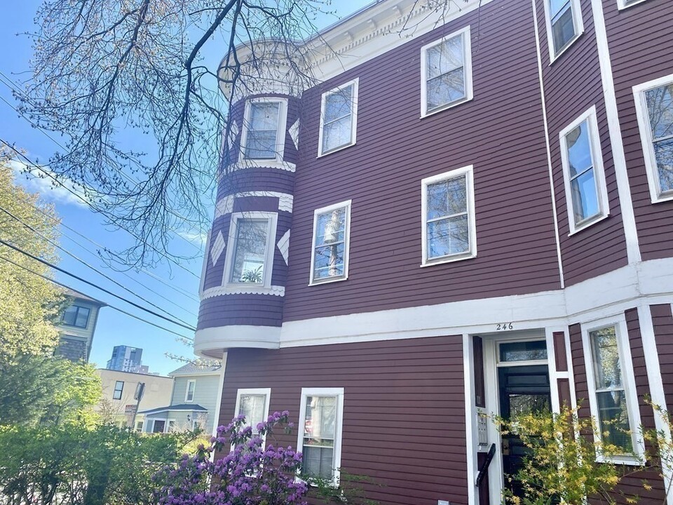 248 Brookline St-Unit -1 in Cambridge, MA - Building Photo