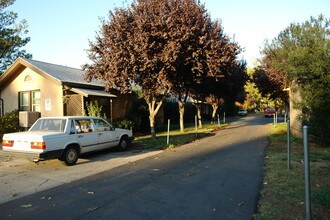 Nord Ave Apartments in Chico, CA - Building Photo - Building Photo