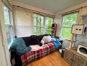 48 Bellevue St, Unit PH in Boston, MA - Building Photo - Building Photo