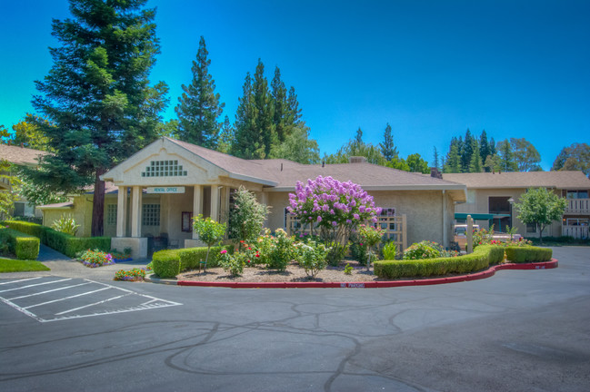 Ceres Plaza Apartments in Chico, CA - Building Photo - Building Photo