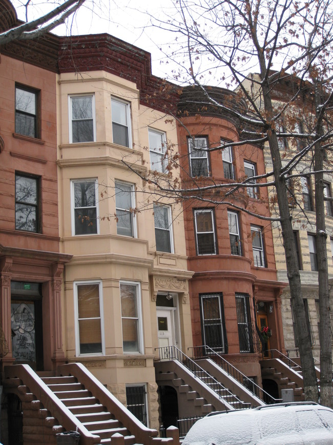 113 Macon St in Brooklyn, NY - Building Photo - Building Photo