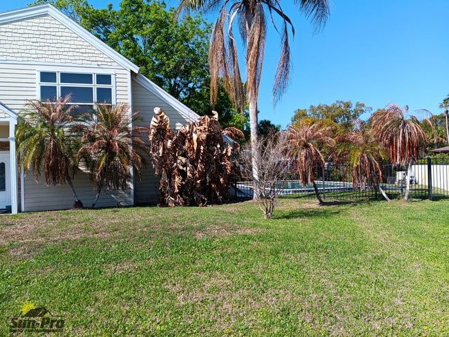 9 Waterberry Cir in Ormond Beach, FL - Building Photo - Building Photo