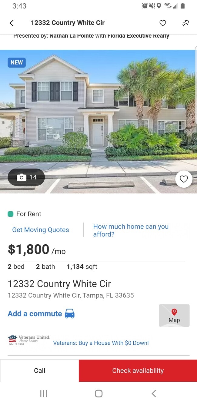 12332 Country White Cir in Tampa, FL - Building Photo - Building Photo