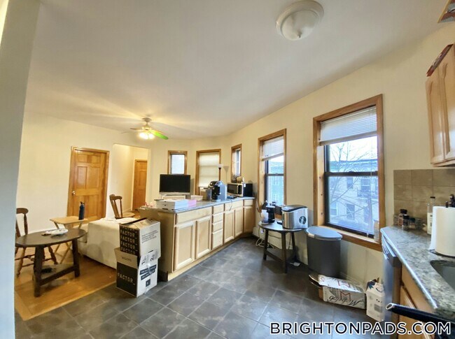 47 Orkney Rd in Boston, MA - Building Photo - Building Photo