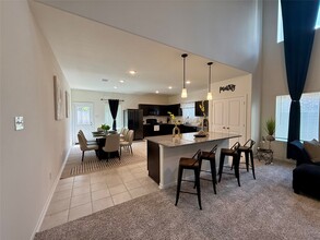 527 Baobab Wy in Crosby, TX - Building Photo - Building Photo