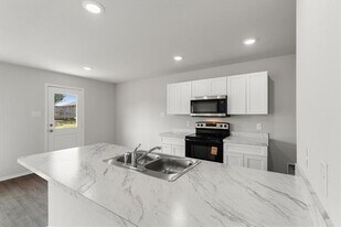 293 Victory Dr in Mabank, TX - Building Photo