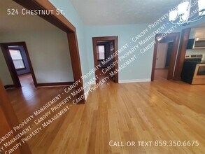 524 Chestnut St in Lexington, KY - Building Photo - Building Photo