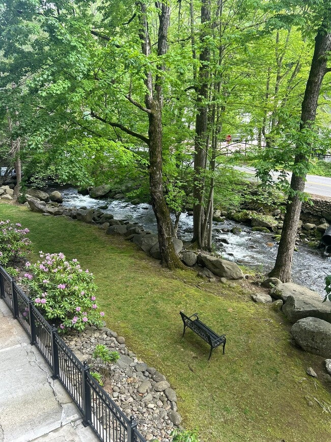 property at 210 Roaring Fork Ext