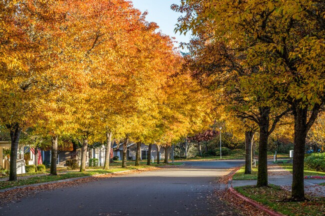 Apartamentos Alquiler en Dupont, WA