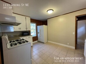 1113 Spring St NE in Minneapolis, MN - Building Photo - Building Photo