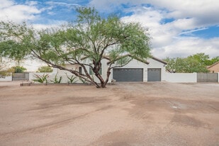 10335 N Tall Cotton Dr in Marana, AZ - Building Photo