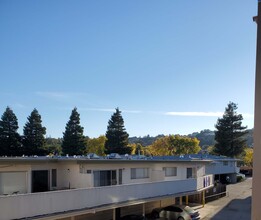 2010 Trousdale Dr in Burlingame, CA - Building Photo - Building Photo