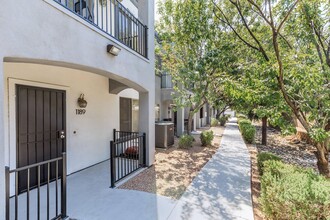 Maryland Terrace Apartments in Glendale, AZ - Building Photo - Building Photo