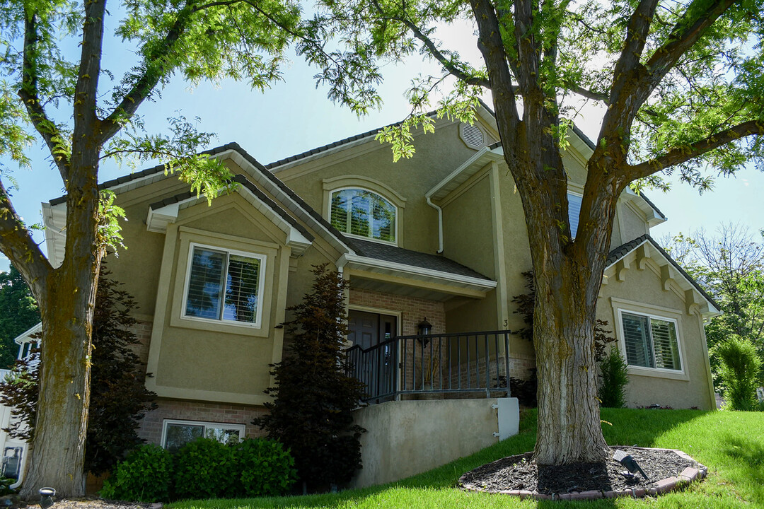 310 Abbey Ln in Providence, UT - Building Photo