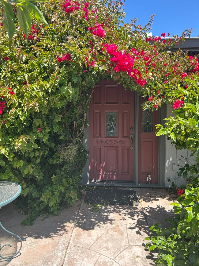 1060 Waring St, Unit Studio