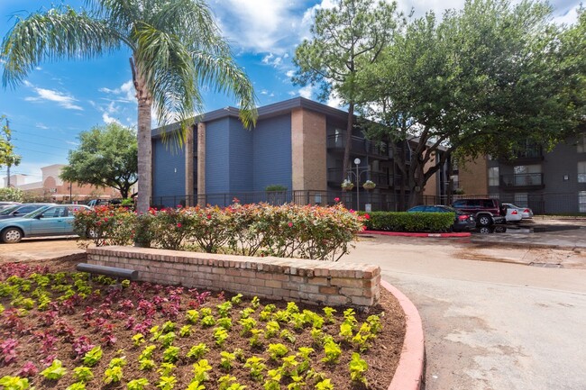 Star Voss Apartments in Houston, TX - Building Photo - Building Photo