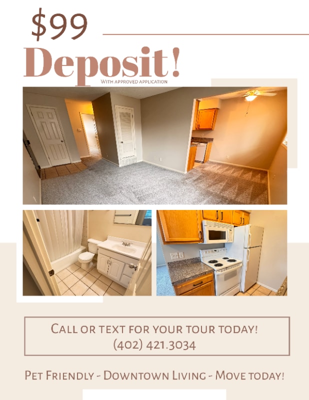 1531 D St in Lincoln, NE - Building Photo - Building Photo