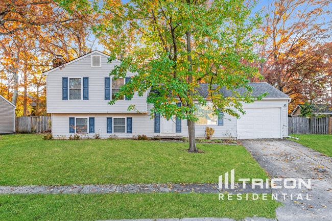 property at 4385 Rock Ct