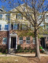 16728 Summers Walk Blvd in Davidson, NC - Building Photo