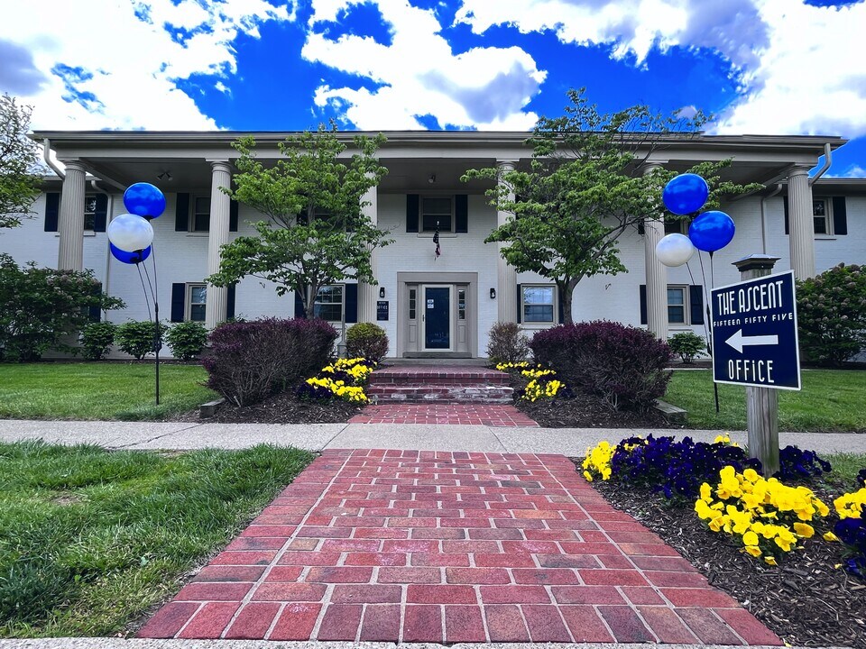 The Ascent 1555 Photo