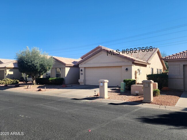 14813 W Verde Ln in Goodyear, AZ - Building Photo - Building Photo