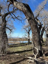 68 Martinez Rd in Arroyo Seco, NM - Building Photo - Building Photo