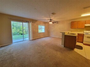 4307 Winding River Way in Land O Lakes, FL - Building Photo - Building Photo