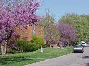 Courtyard Apartments in Columbia, MO - Foto de edificio - Building Photo
