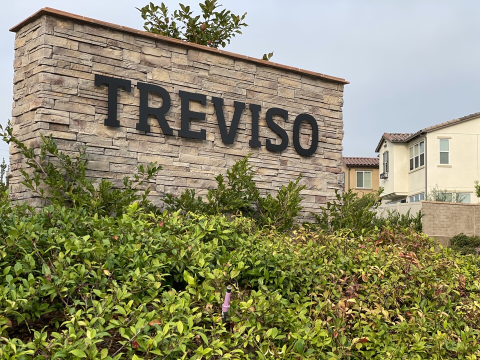 6659 Encelia Pl in Carlsbad, CA - Building Photo