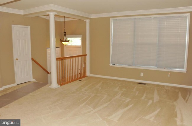 7707 Rachael Whitney Ln in Alexandria, VA - Building Photo - Building Photo