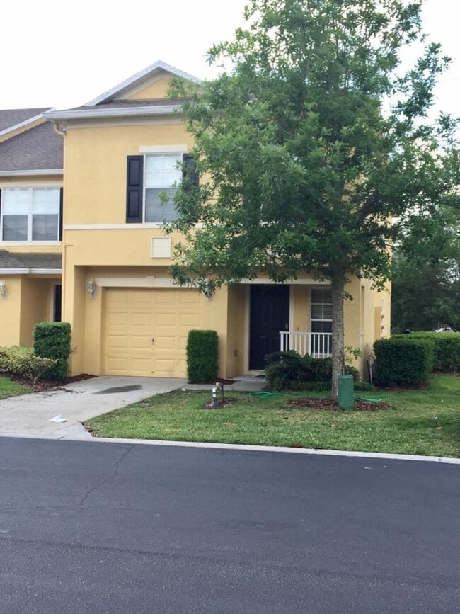 property at 3399 Caruso Pl
