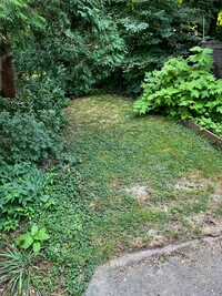 522 Righter St, Unit 1 photo'