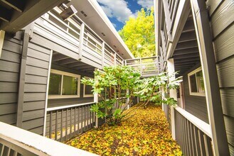 Maple View Apartments in Beaverton, OR - Foto de edificio - Building Photo