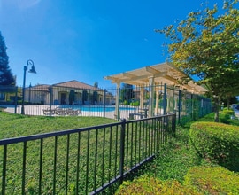 4428 W Pinsapo Dr in Fresno, CA - Building Photo - Building Photo