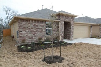 19404 Great Falls Dr in Manor, TX - Building Photo - Building Photo