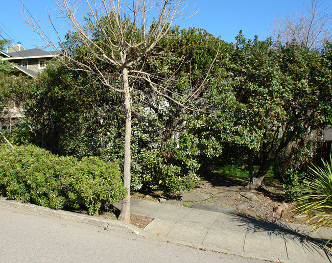 51 Park Ave in Mill Valley, CA - Foto de edificio - Building Photo