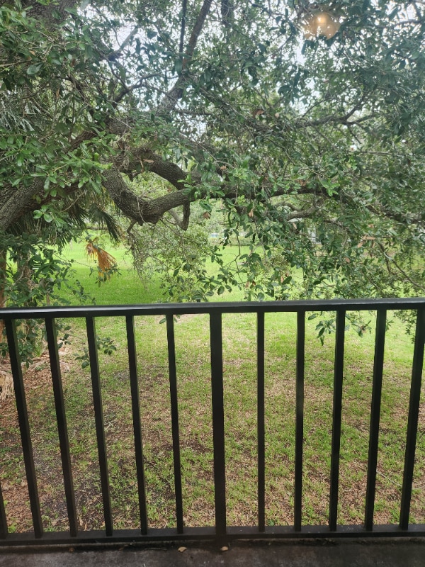 property at 2216 Flower Tree Cir