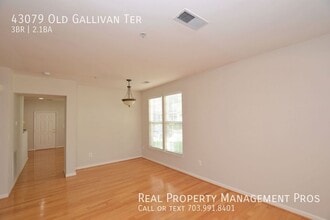 43079 Old Gallivan Terrace in Ashburn, VA - Building Photo - Building Photo